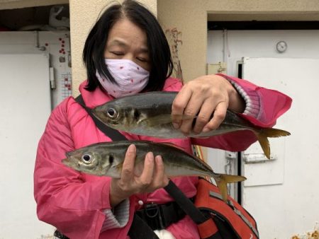 荒川屋 釣果