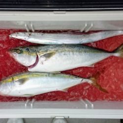 火遠理丸（ほおりまる） 釣果