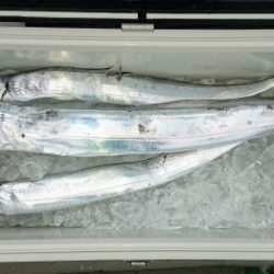 火遠理丸（ほおりまる） 釣果