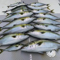 ミタチ丸 釣果