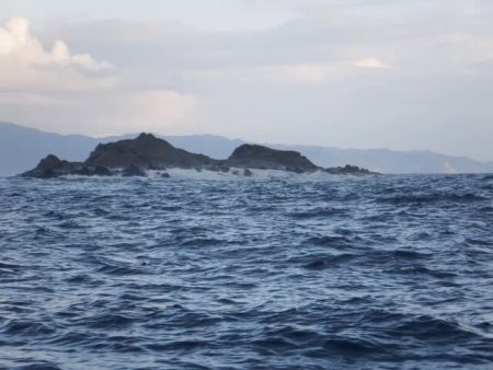 開進丸 釣果