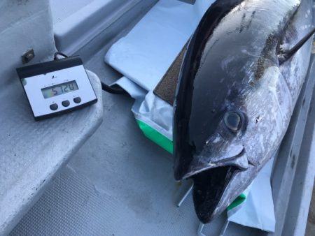 まると屋 釣果