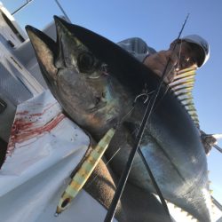 まると屋 釣果