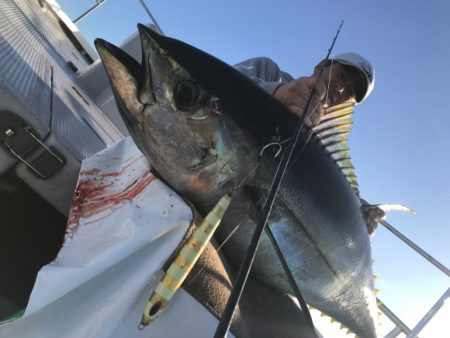 まると屋 釣果