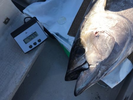 まると屋 釣果