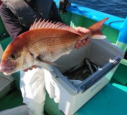 高司丸 釣果