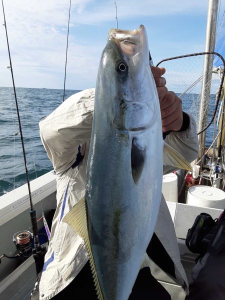 海峰 釣果