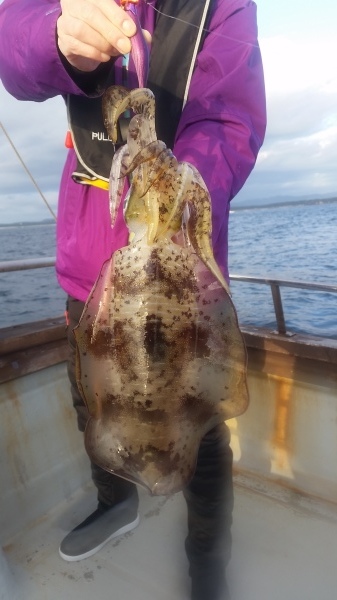 小海途 釣果