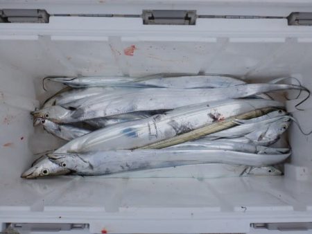 開進丸 釣果