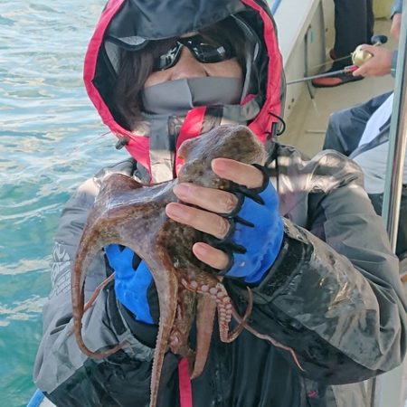 たかみ丸 釣果