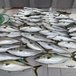 ミタチ丸 釣果