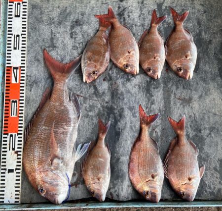 明神釣船 釣果