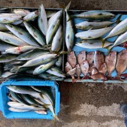 明神釣船 釣果