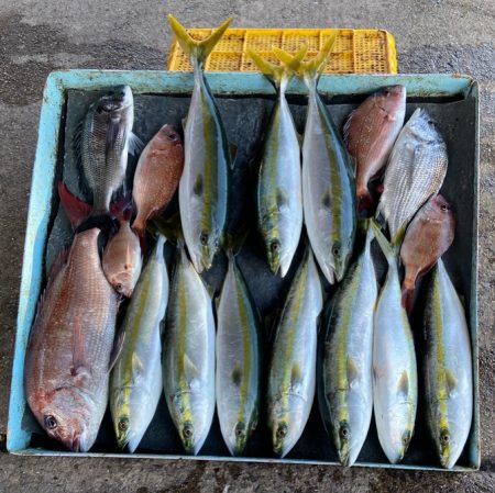 明神釣船 釣果