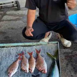 明神釣船 釣果