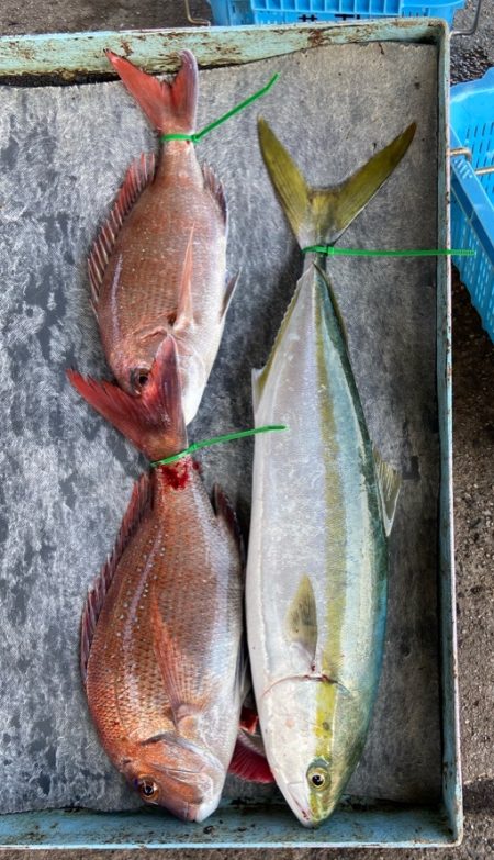 明神釣船 釣果