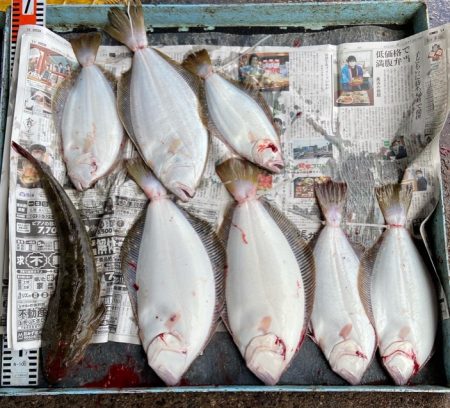 明神釣船 釣果