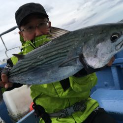 松鶴丸 釣果