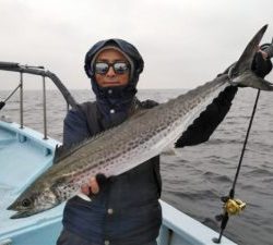 東京湾探釣隊ぼっち 釣果