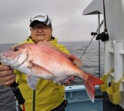 東京湾探釣隊ぼっち 釣果