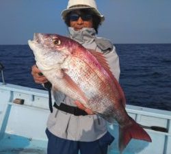 東京湾探釣隊ぼっち 釣果