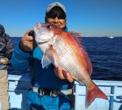 東京湾探釣隊ぼっち 釣果