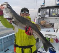 東京湾探釣隊ぼっち 釣果