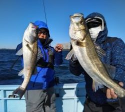 東京湾探釣隊ぼっち 釣果