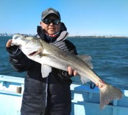 東京湾探釣隊ぼっち 釣果