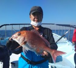 東京湾探釣隊ぼっち 釣果