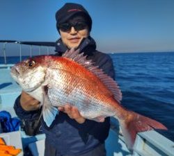 東京湾探釣隊ぼっち 釣果