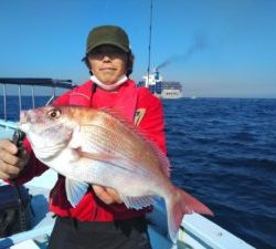 東京湾探釣隊ぼっち 釣果