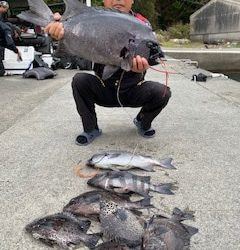 千津丸 釣果