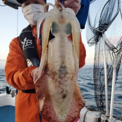 海晴丸 釣果