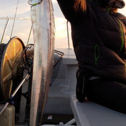 釣人家 釣果