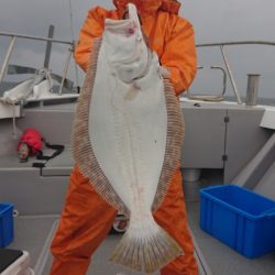 宝生丸 釣果