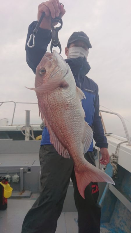 だて丸 釣果