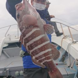 だて丸 釣果