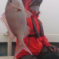 だて丸 釣果