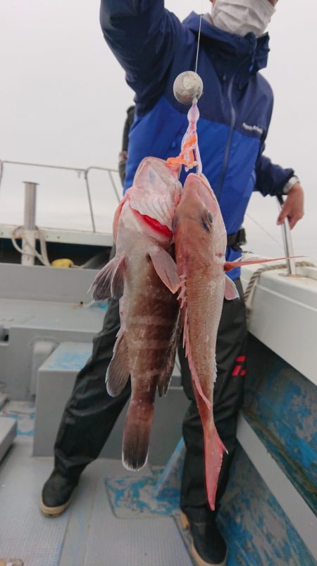 だて丸 釣果