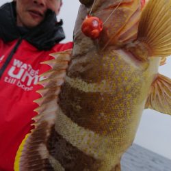 竹宝丸 釣果