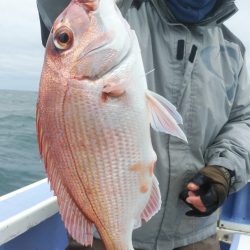 新幸丸 釣果