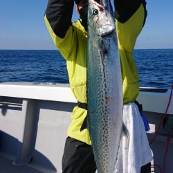 宝生丸 釣果