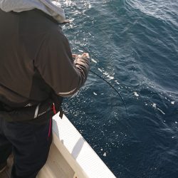 海皇丸 釣果