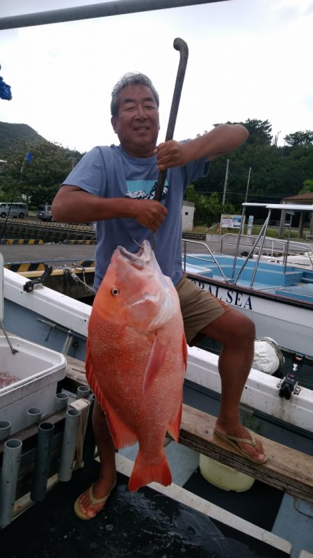 海賊 釣果