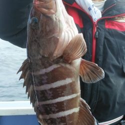 新幸丸 釣果