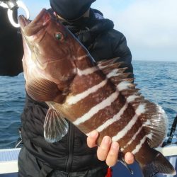 新幸丸 釣果