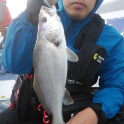 新幸丸 釣果