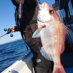 だて丸 釣果