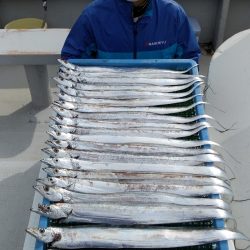 釣人家 釣果